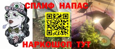 прущие грибы Отрадное