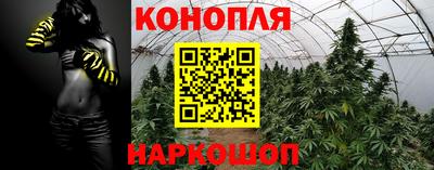 jwh Отрадный