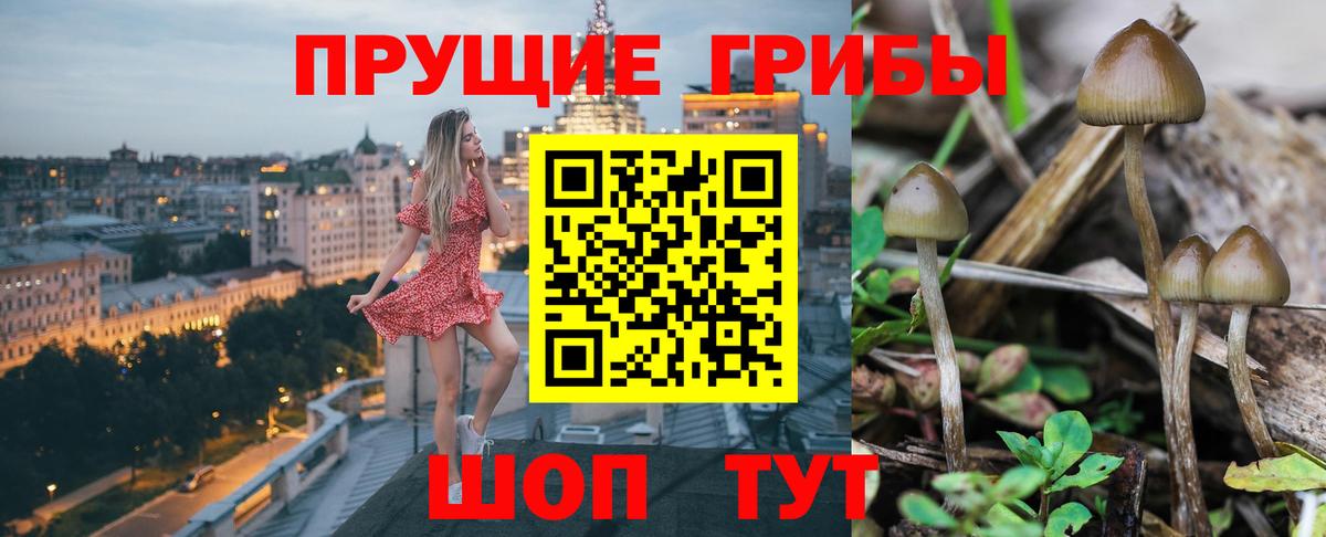 Псилоцибиновые грибы Magic Shrooms  Вход с VPN  что такое наркотик  Сальск  Псилоцибиновые грибы Magic Shrooms 